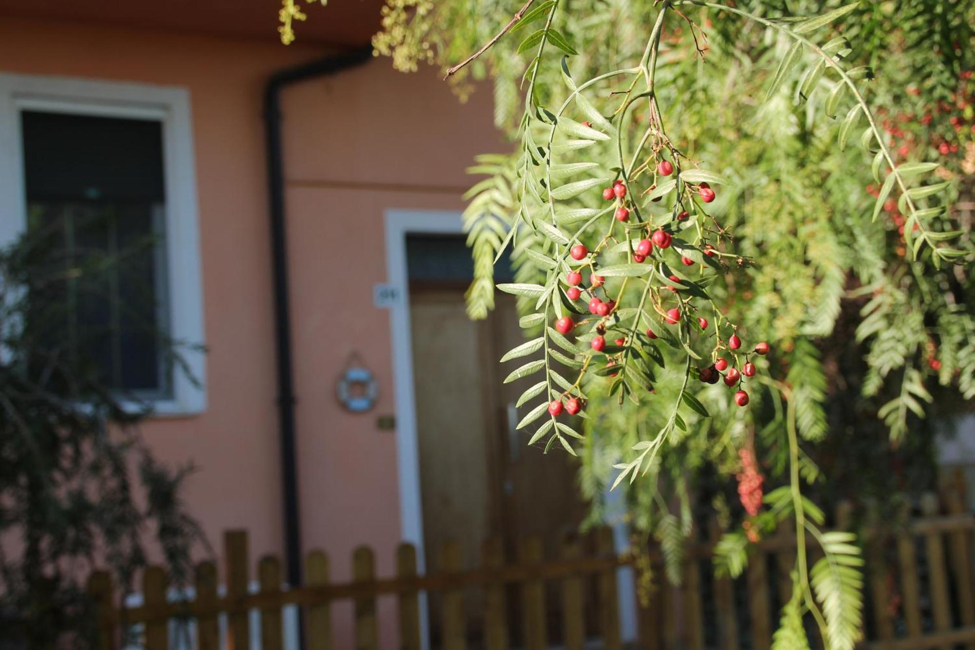 Bed and Breakfast Pepe Rosa Термолі Екстер'єр фото