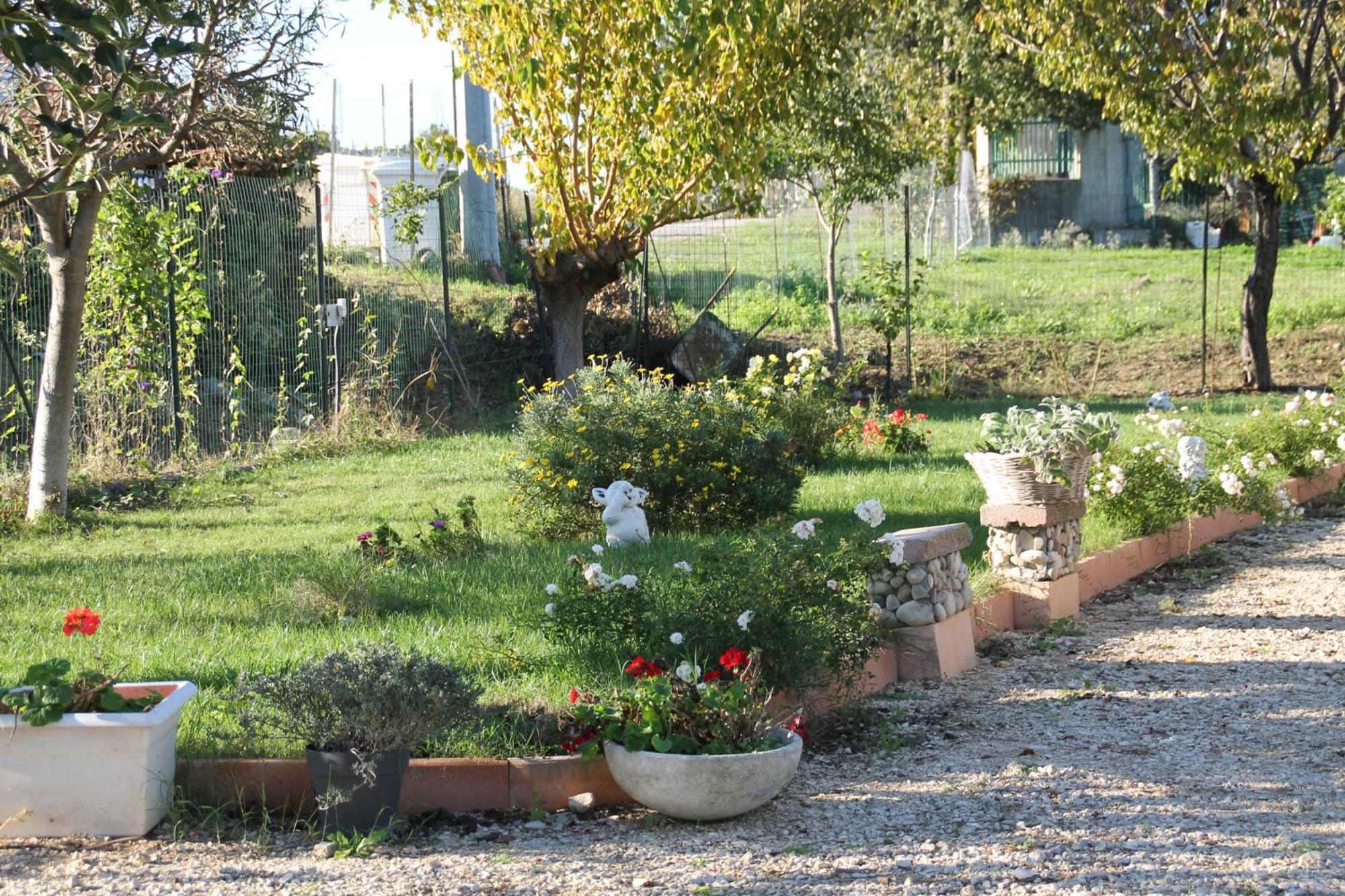 Bed and Breakfast Pepe Rosa Термолі Екстер'єр фото